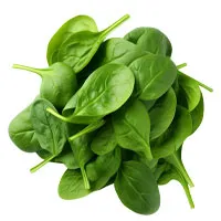 GABA